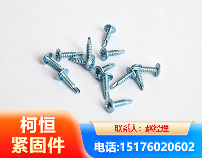 永州华司钻尾丝