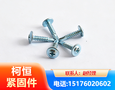 永州华司钻尾丝